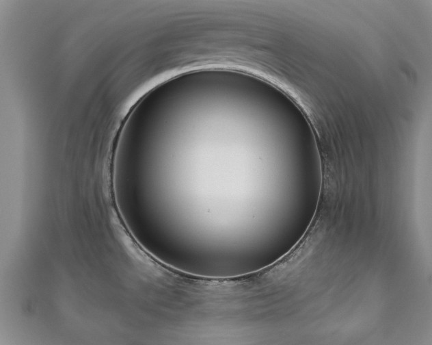 X0000113131534200909041137