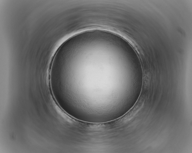 X0000113131535200909041137