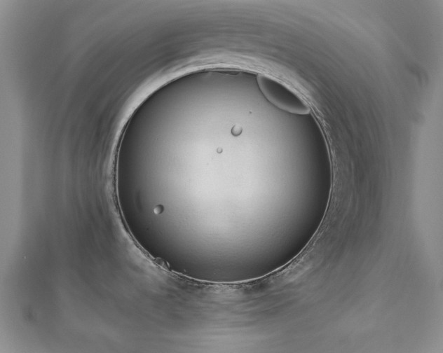 X0000113131536200909041137