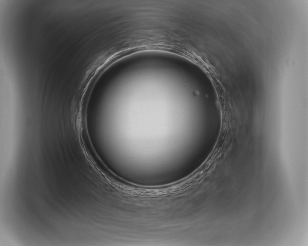 X0000113130002200909110923