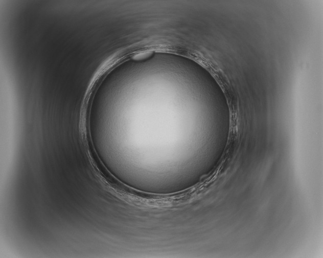 X0000113130004200909110923