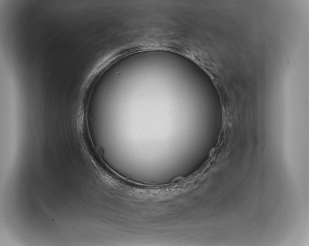 X0000113130005200909110923