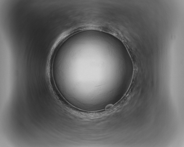 X0000113130006200909110923