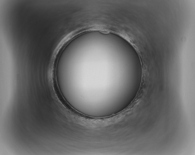 X0000113130007200909110923