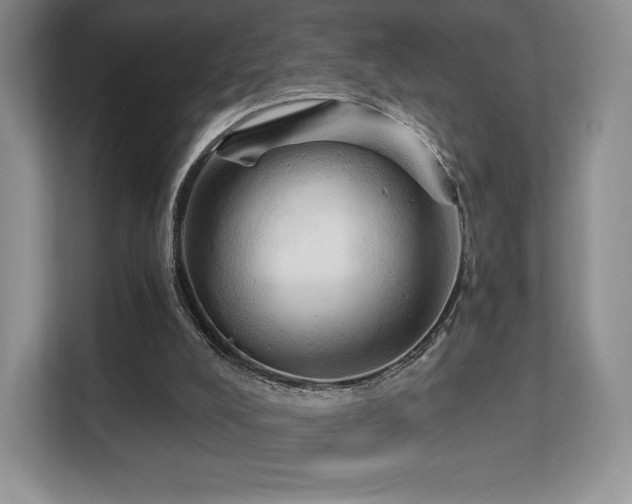 X0000113130008200909110923