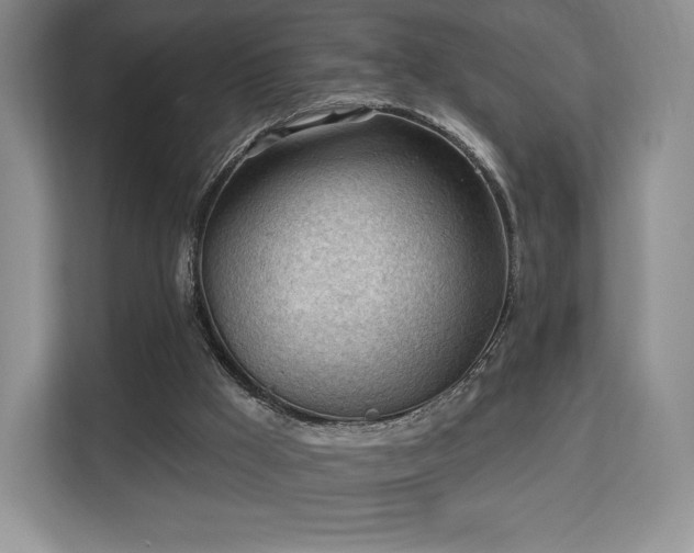 X0000113130009200909110923