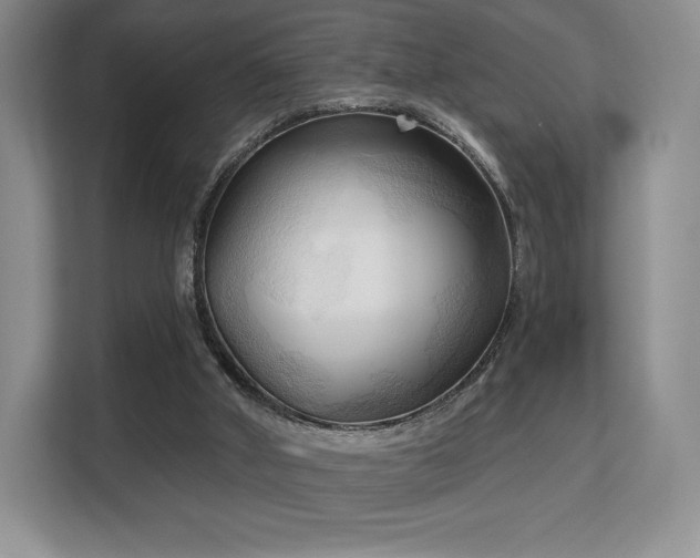 X0000113130010200909110923