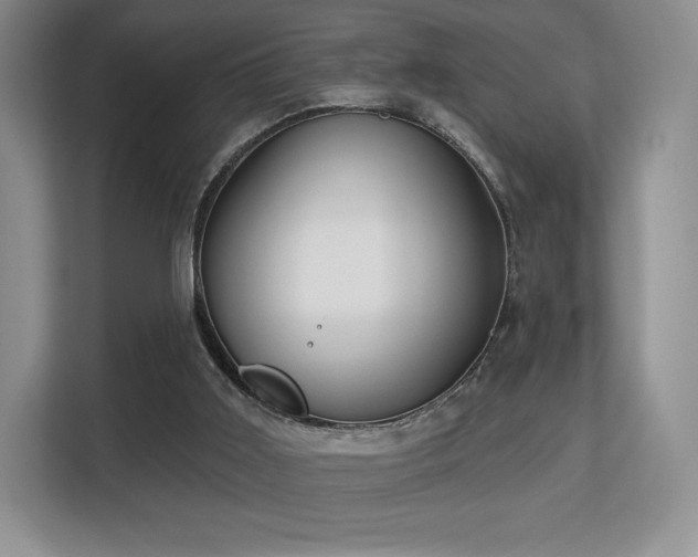 X0000113130011200909110923