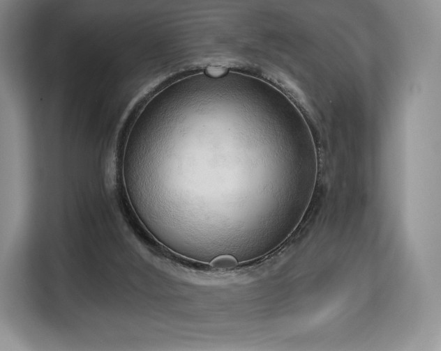 X0000113130012200909110923