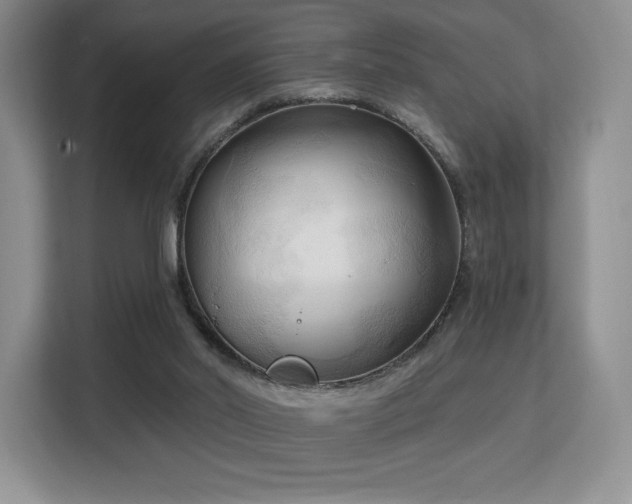 X0000113130014200909110923