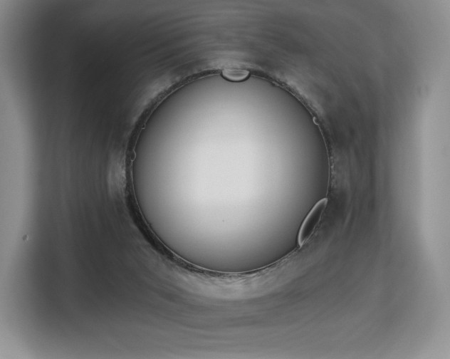 X0000113130015200909110923