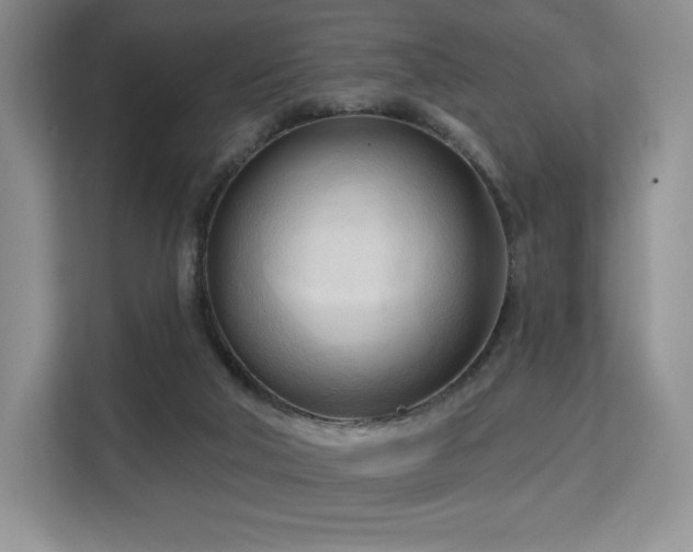 X0000113130018200909110923