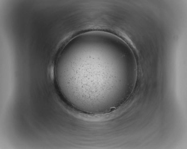 X0000113130019200909110923