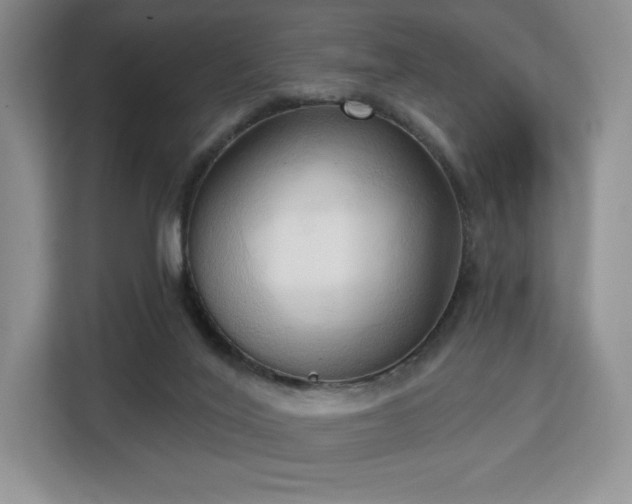 X0000113130020200909110923