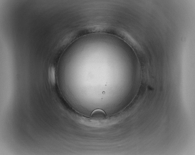 X0000113130022200909110923