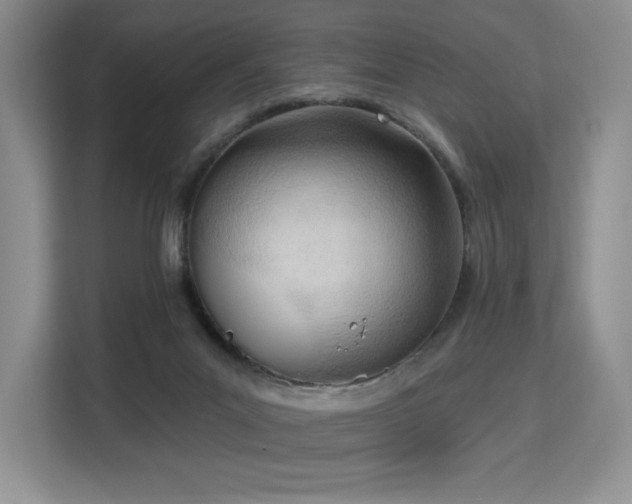 X0000113130023200909110923