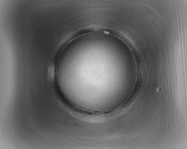 X0000113130024200909110923