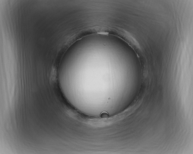 X0000113130025200909110923