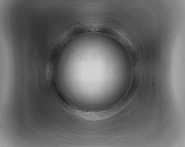 X0000113130030200909110923