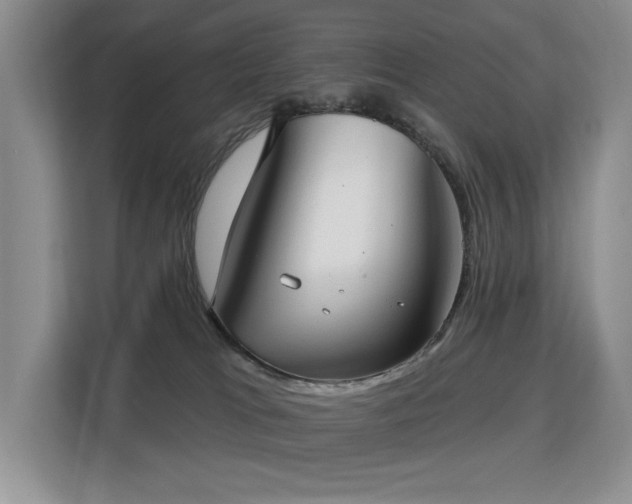 X0000113130037200909110923