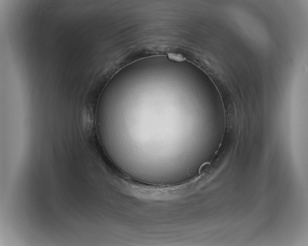 X0000113130040200909110923