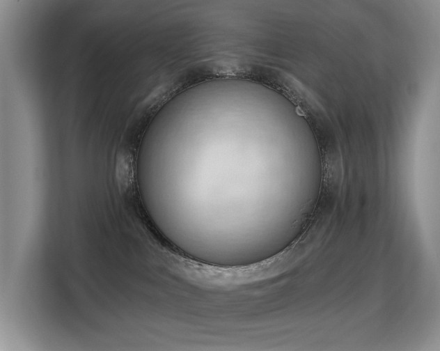 X0000113130043200909110923