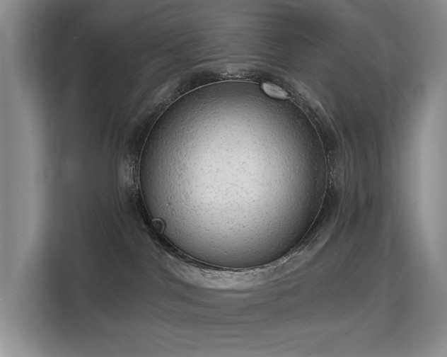 X0000113130044200909110923