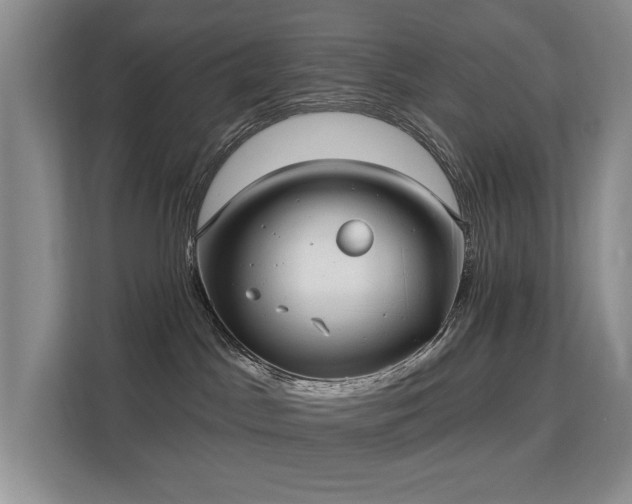 X0000113130045200909110923