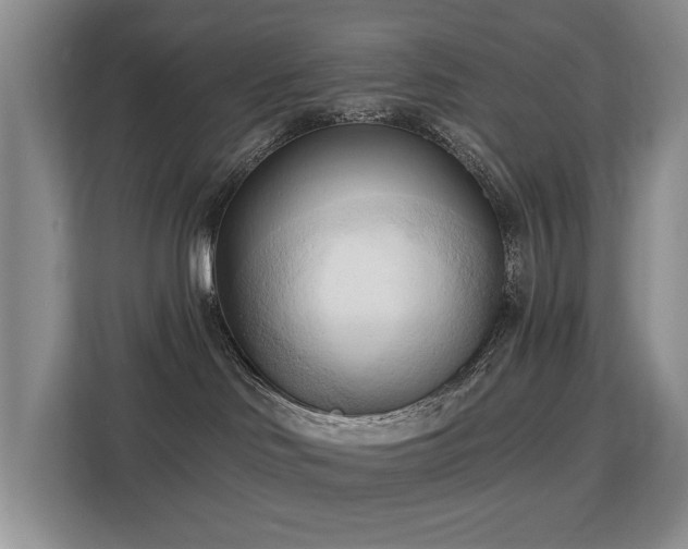 X0000113130046200909110923