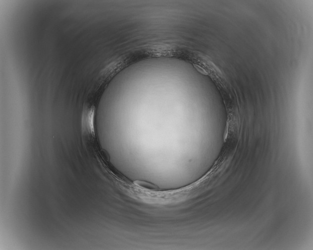 X0000113130047200909110922