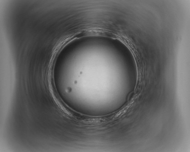 X0000113130049200909110922