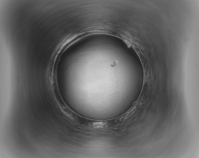 X0000113130050200909110922