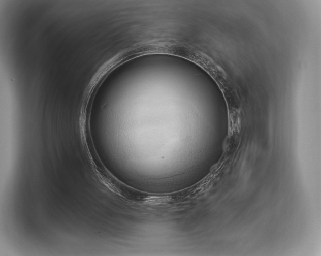 X0000113130051200909110922