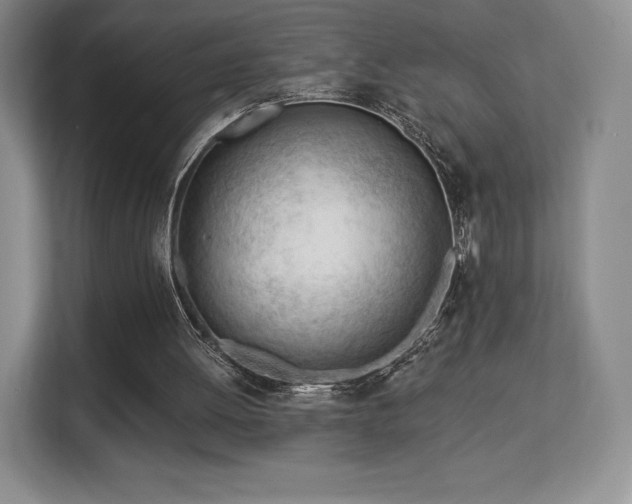 X0000113130052200909110922