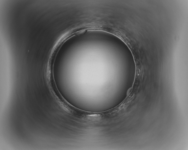 X0000113130053200909110922