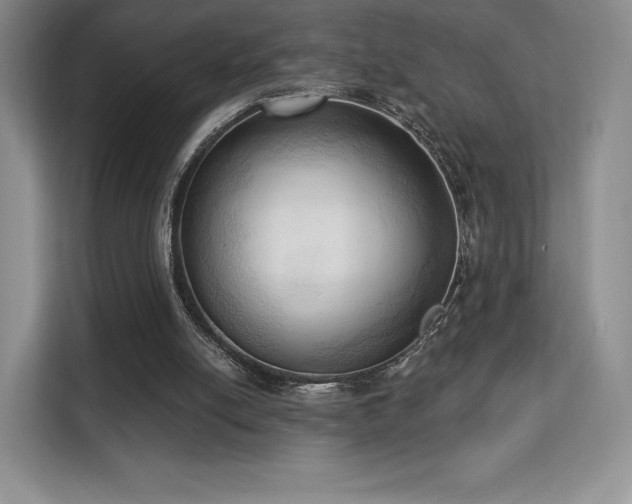 X0000113130054200909110922