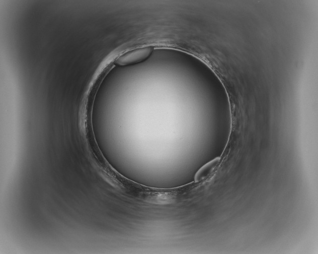 X0000113130056200909110922