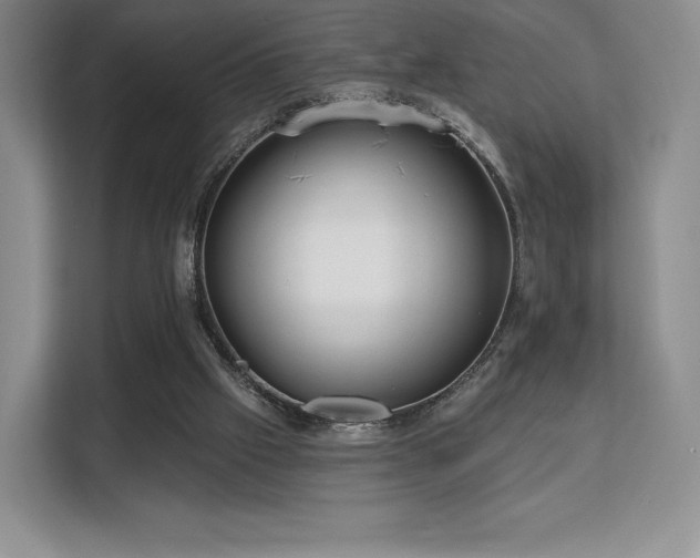 X0000113130057200909110922