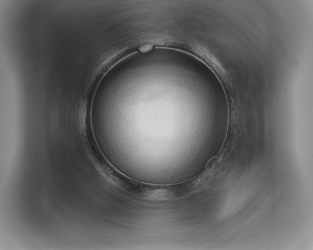 X0000113130058200909110922