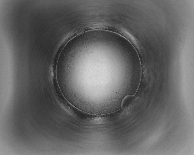 X0000113130059200909110922