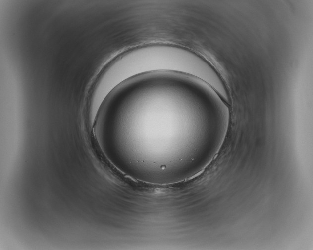 X0000113130060200909110922