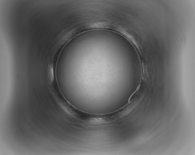 X0000113130061200909110922