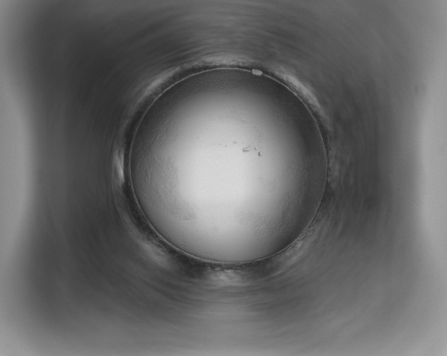 X0000113130062200909110922