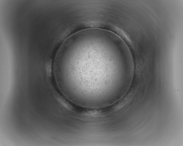 X0000113130065200909110922