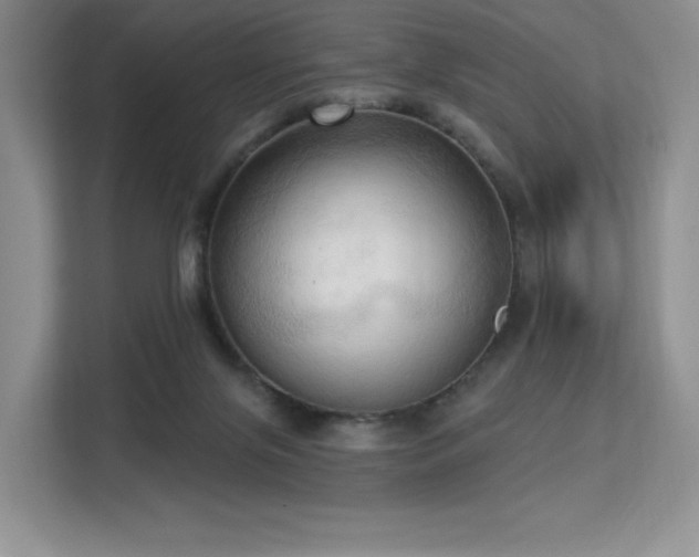 X0000113130071200909110922