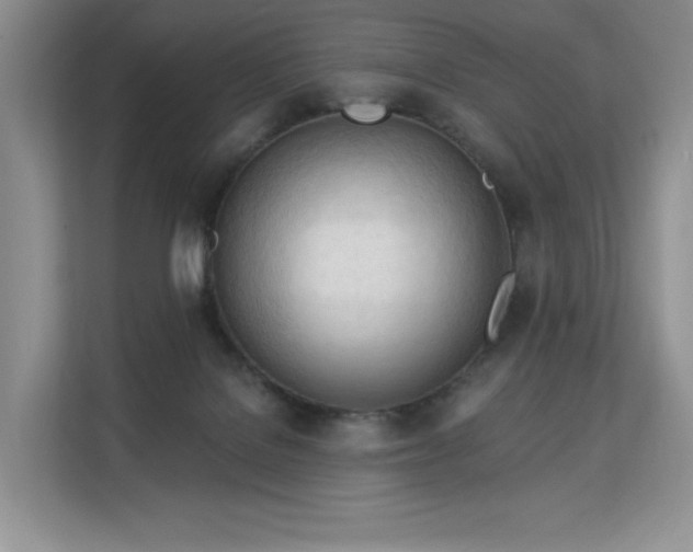 X0000113130076200909110922