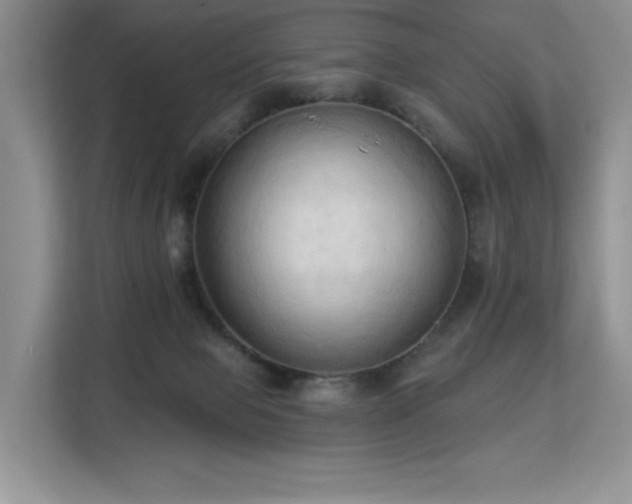 X0000113130077200909110922