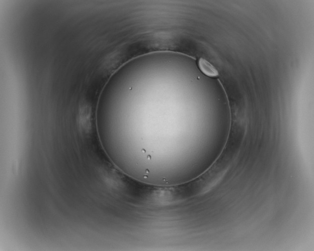 X0000113130080200909110922