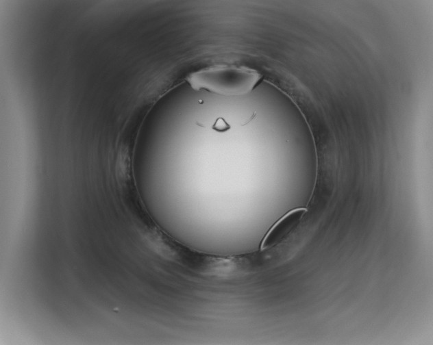 X0000113130083200909110922