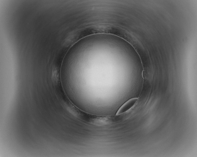 X0000113130086200909110922